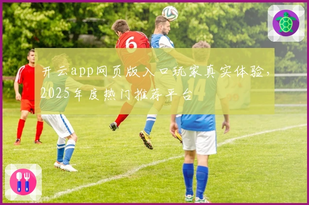 开云app网页版入口玩家真实体验，2025年度热门推荐平台