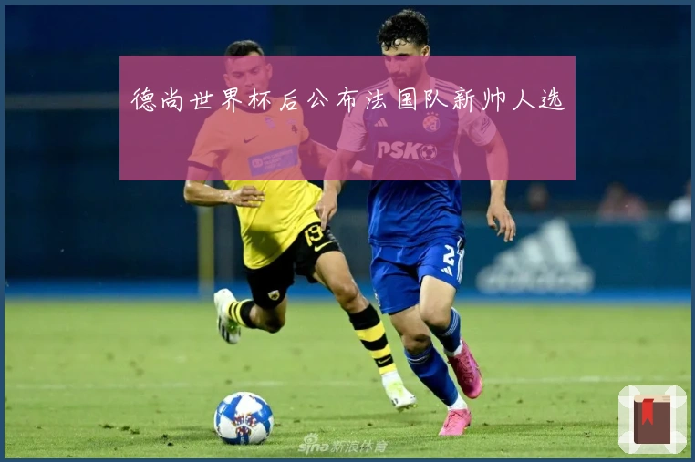 德尚世界杯后公布法国队新帅人选