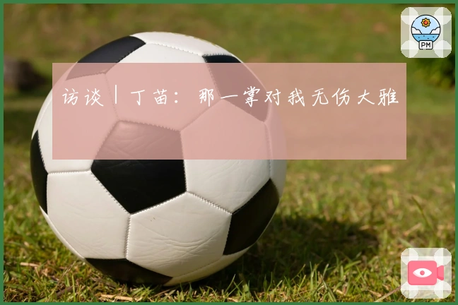 访谈｜丁苗：那一掌对我无伤大雅